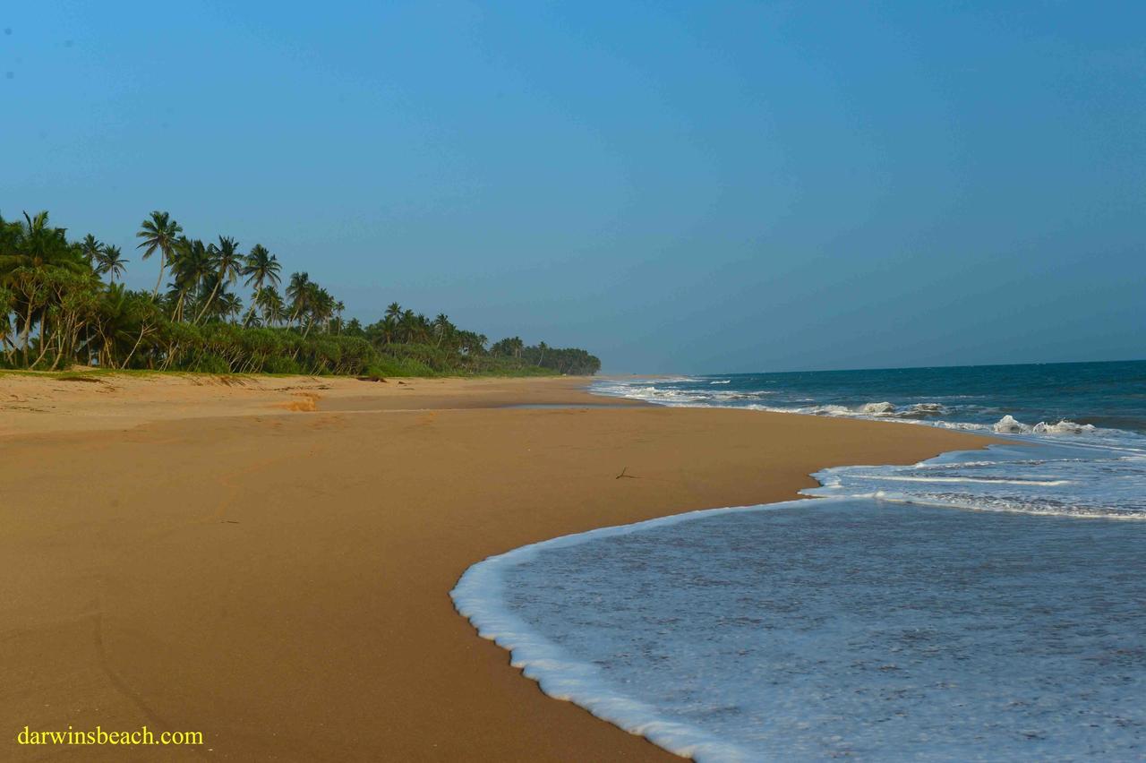 Darwins Beach Resort Tangalle Dış mekan fotoğraf