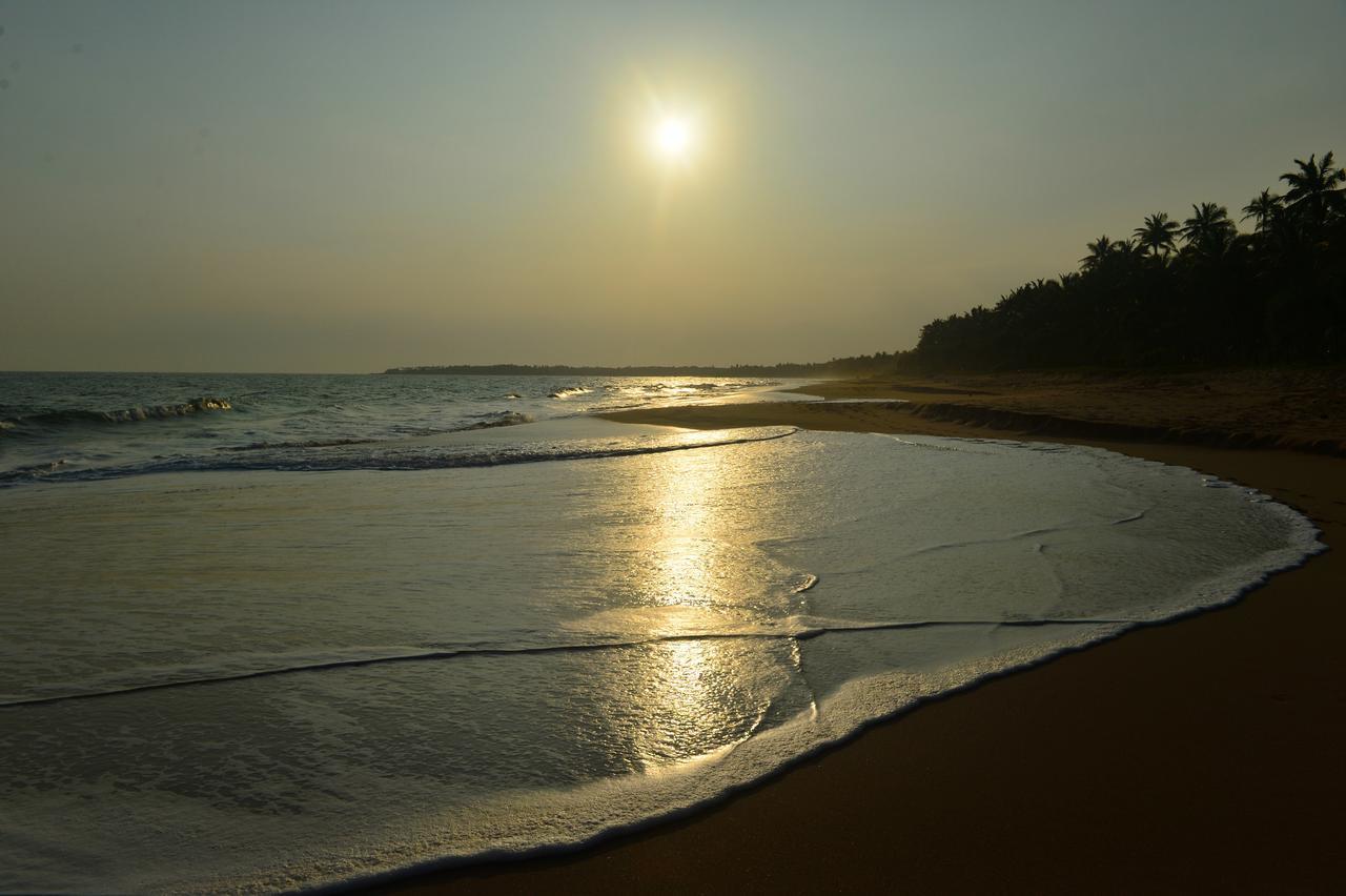 Darwins Beach Resort Tangalle Oda fotoğraf