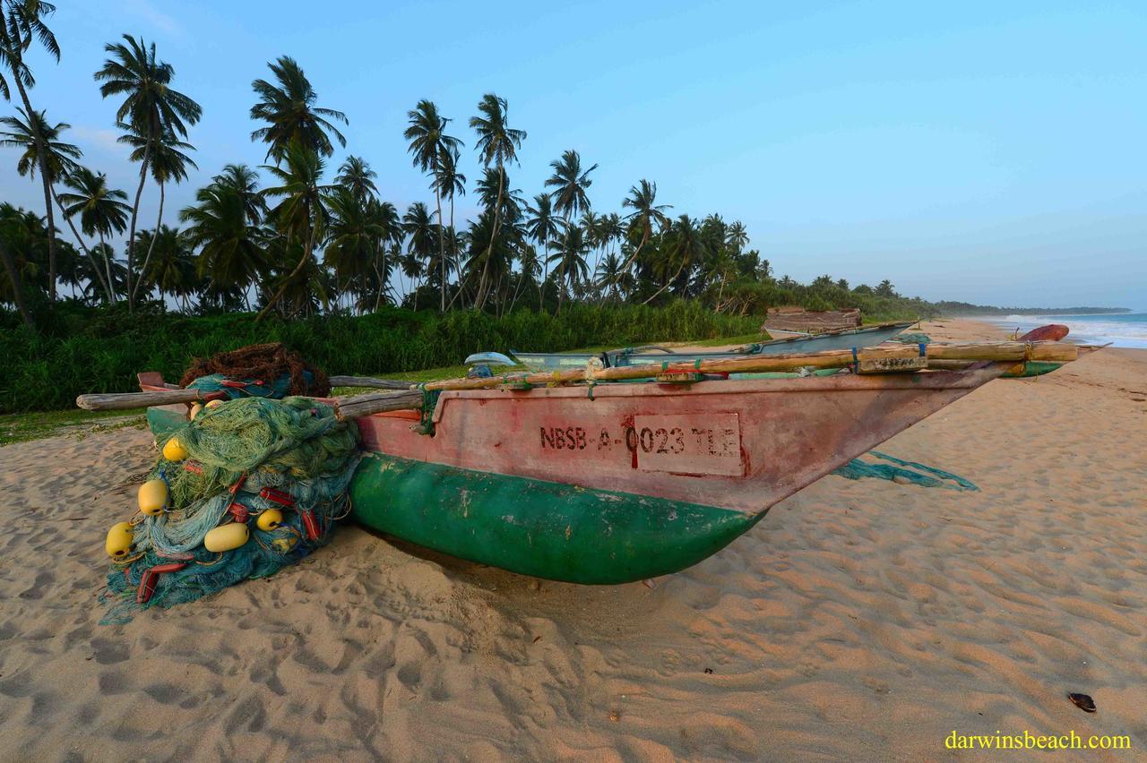 Darwins Beach Resort Tangalle Dış mekan fotoğraf