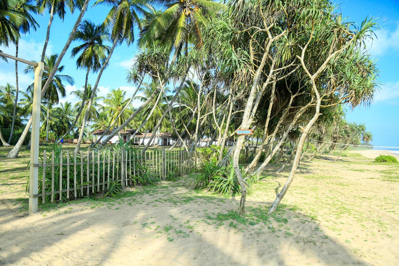 Darwins Beach Resort Tangalle Dış mekan fotoğraf