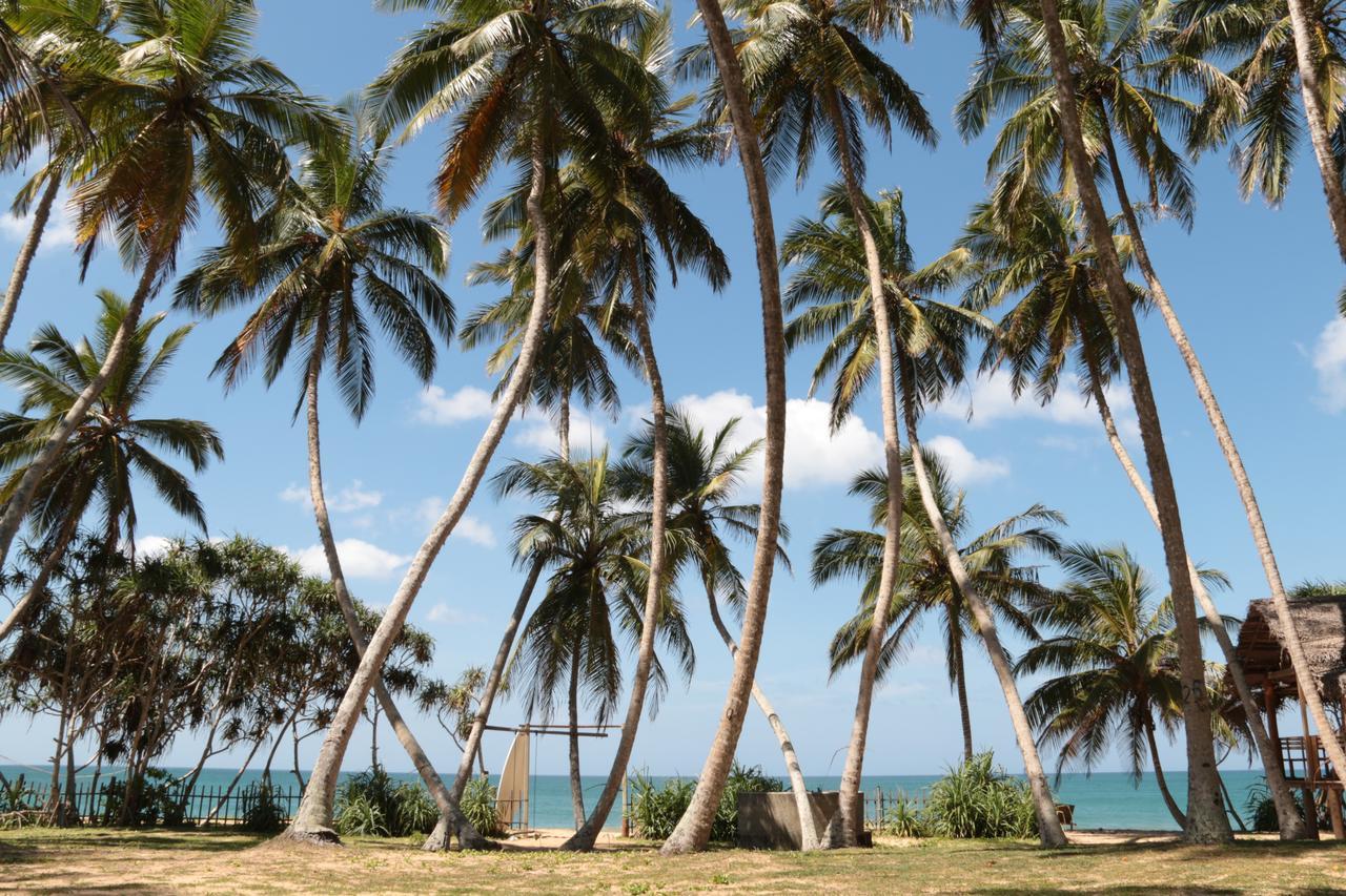 Darwins Beach Resort Tangalle Dış mekan fotoğraf
