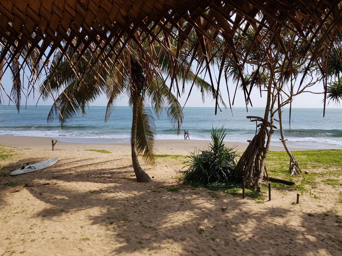 Darwins Beach Resort Tangalle Dış mekan fotoğraf
